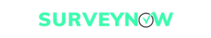 surveynow color logo